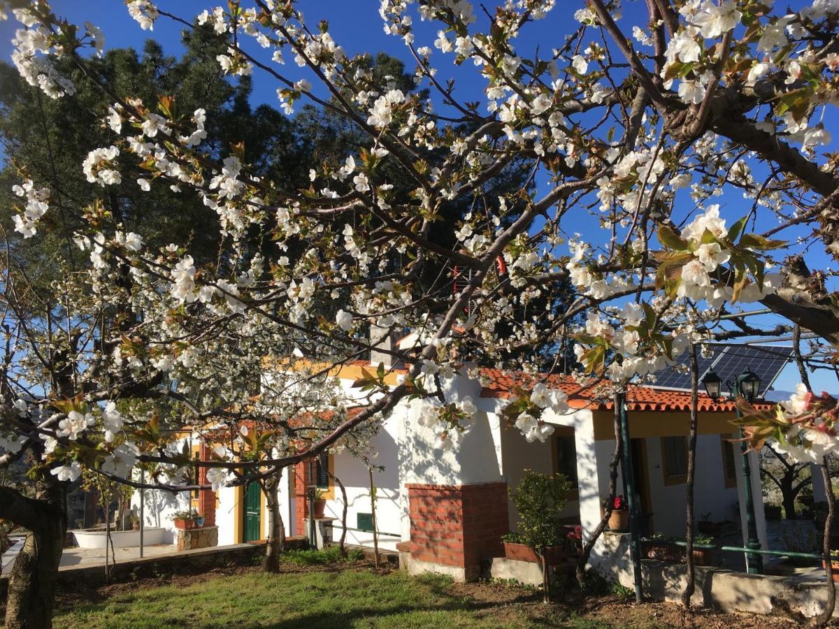 Casas De Campo Em Cerejal Villa Fundão Eksteriør bilde
