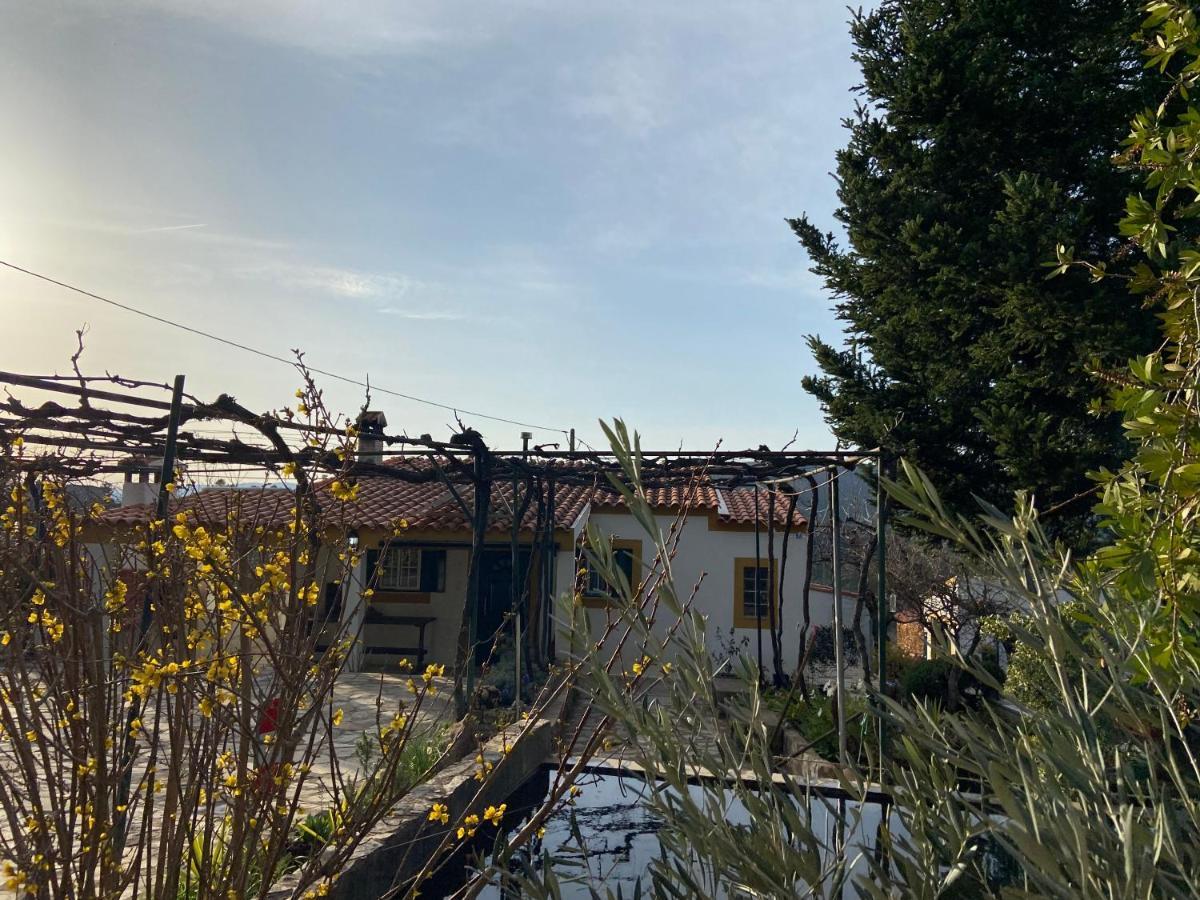 Casas De Campo Em Cerejal Villa Fundão Eksteriør bilde